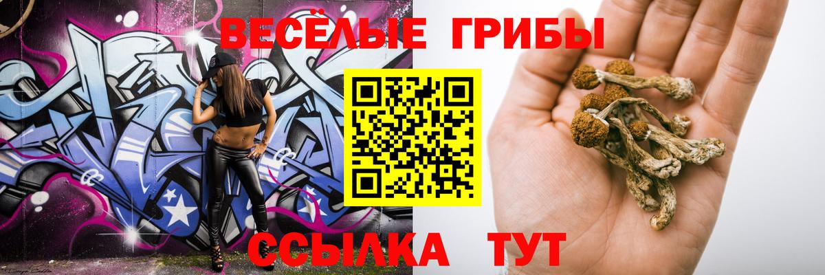 дарнет шоп  Вход с VPN  Галлюциногенные грибы мухоморы  Йошкар-Ола  Псилоцибиновые грибы Psilocybine cubensis 
